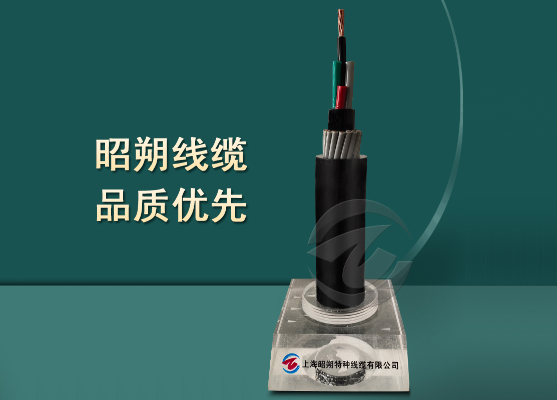 蓄缆筐吊具电缆