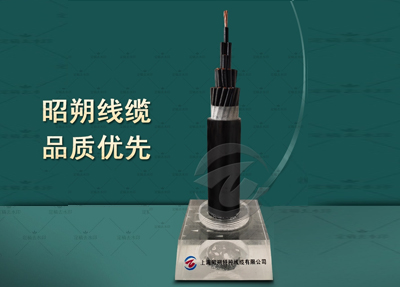 卸船机卷盘电缆