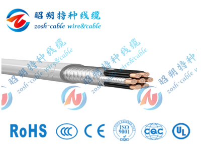伺服驱动电缆_SERVO CY 301_CE认证（移动安装）
