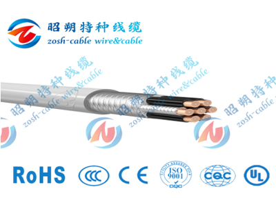 伺服驱动电缆_SERVO CY 300_CE认证（固定安装）